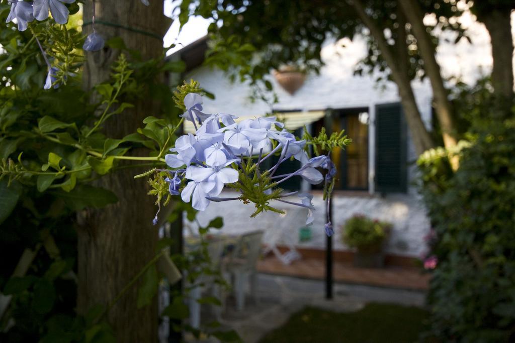 Case Vacanza La Ventura Massarosa Extérieur photo