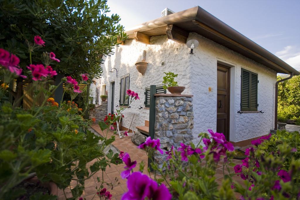 Case Vacanza La Ventura Massarosa Extérieur photo